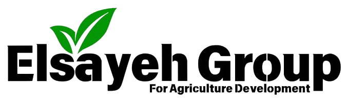 elsayeh-group